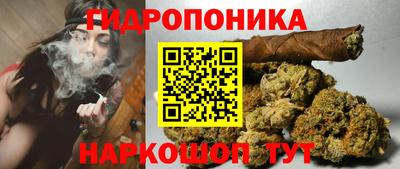 трава Кандалакша